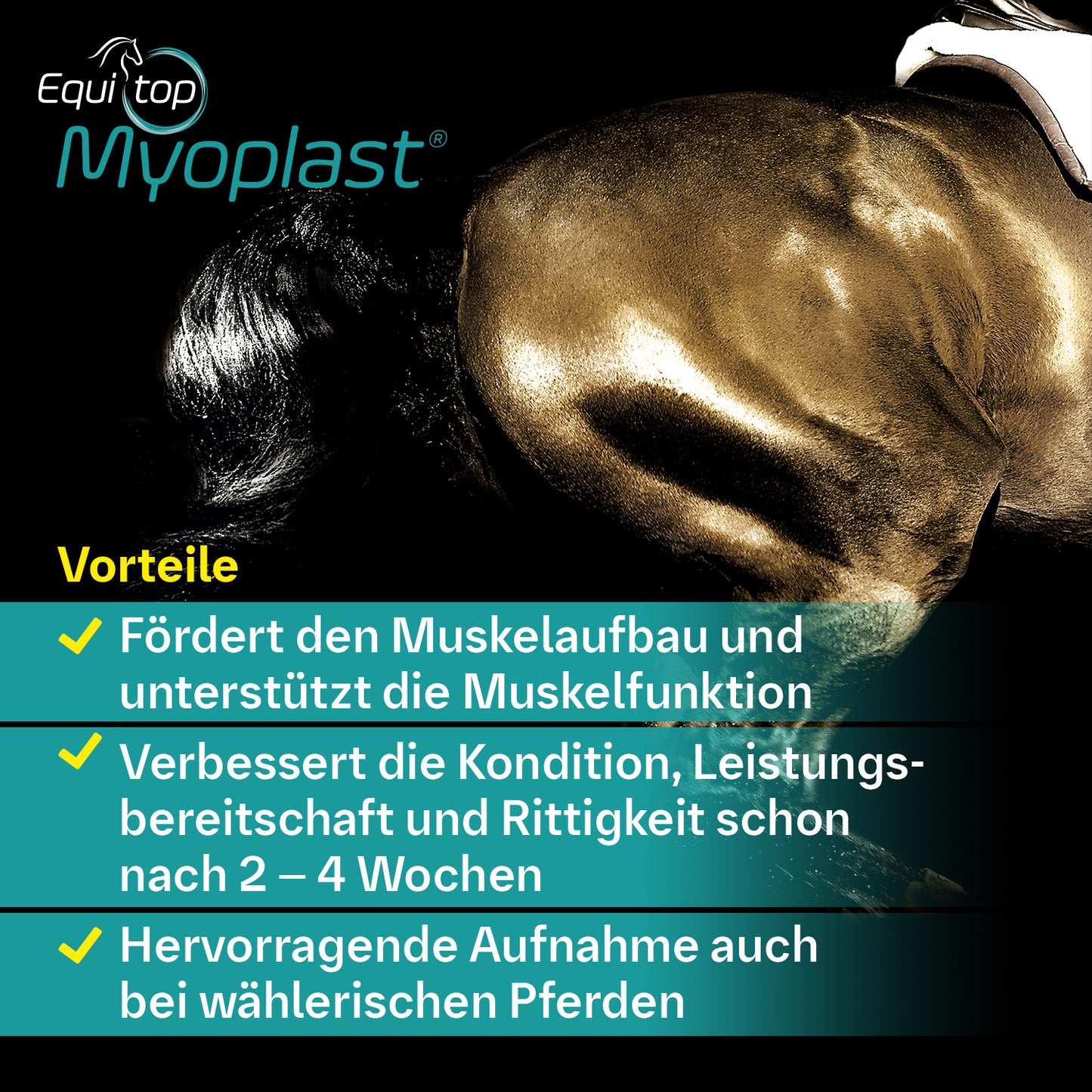 Equitop Myoplast® für Pferde