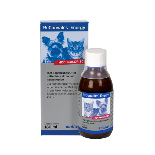 Alfavet ReConvales Energy