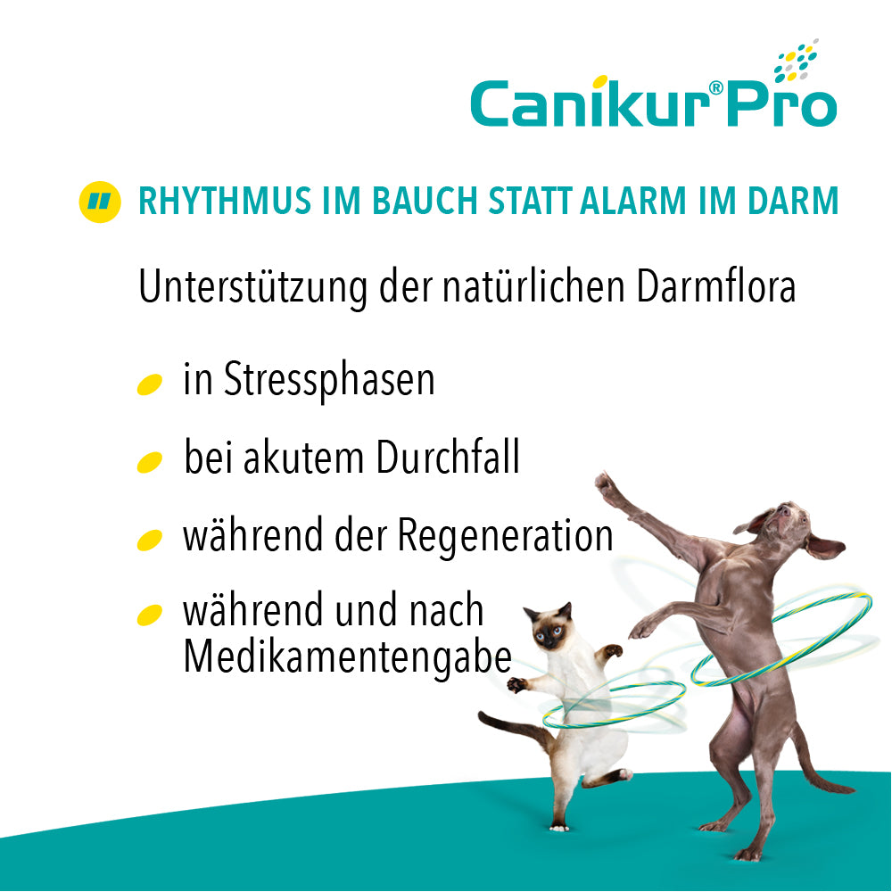 Canikur® Pro Paste für Hunde und Katzen