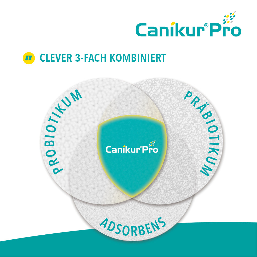 Canikur® Pro Paste für Hunde und Katzen