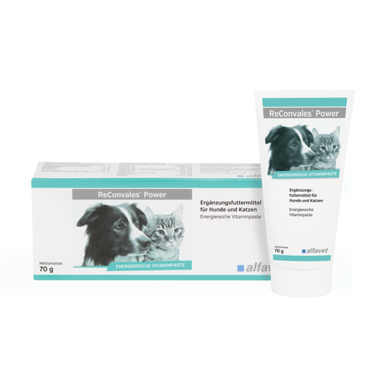 Alfavet ReConvales Power