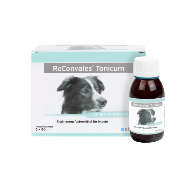 Alfavet ReConvales Tonicum Hund