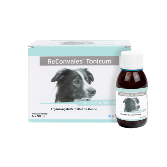 Alfavet ReConvales Tonicum Hund