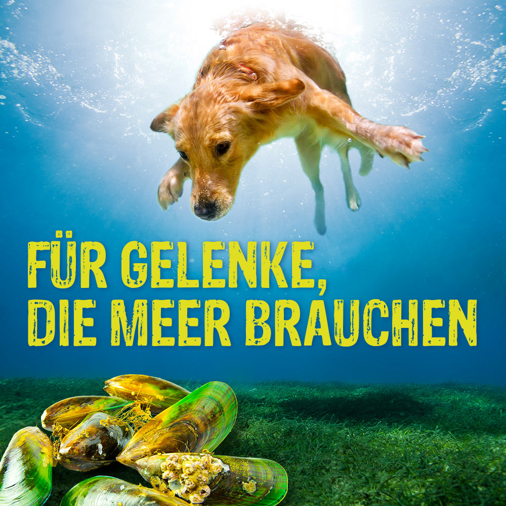 Canosan® Kautabletten für Hunde