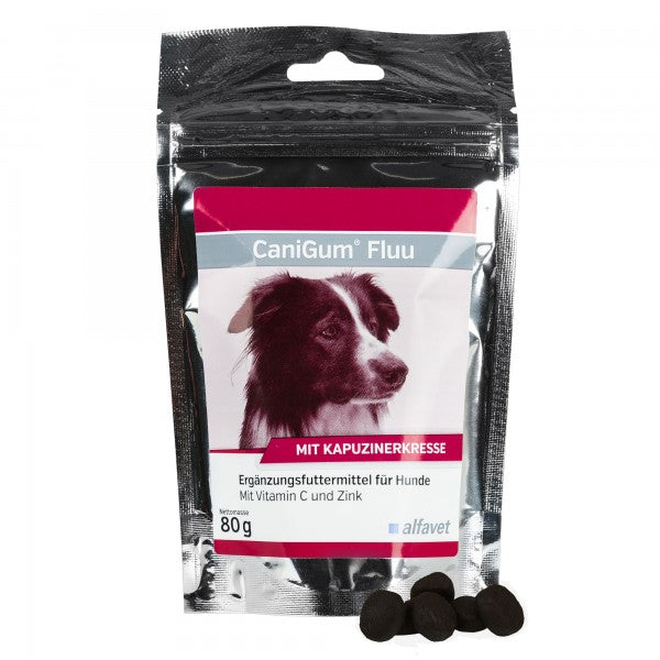 Alfavet CaniGum Fluu