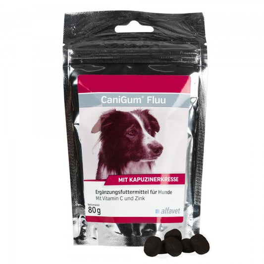 Alfavet CaniGum Fluu