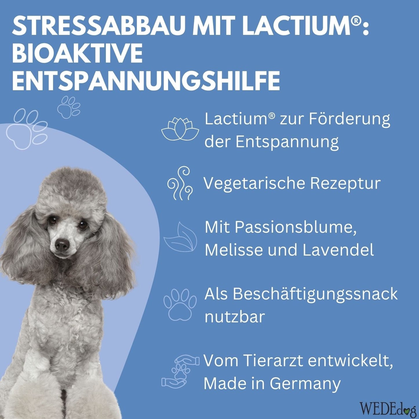 WEDEdog RELAX STICKS Kausticks 7 Stück