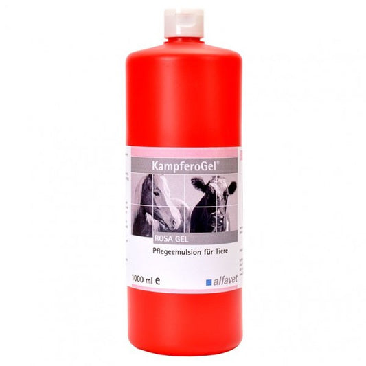Alfavet KampferoGel