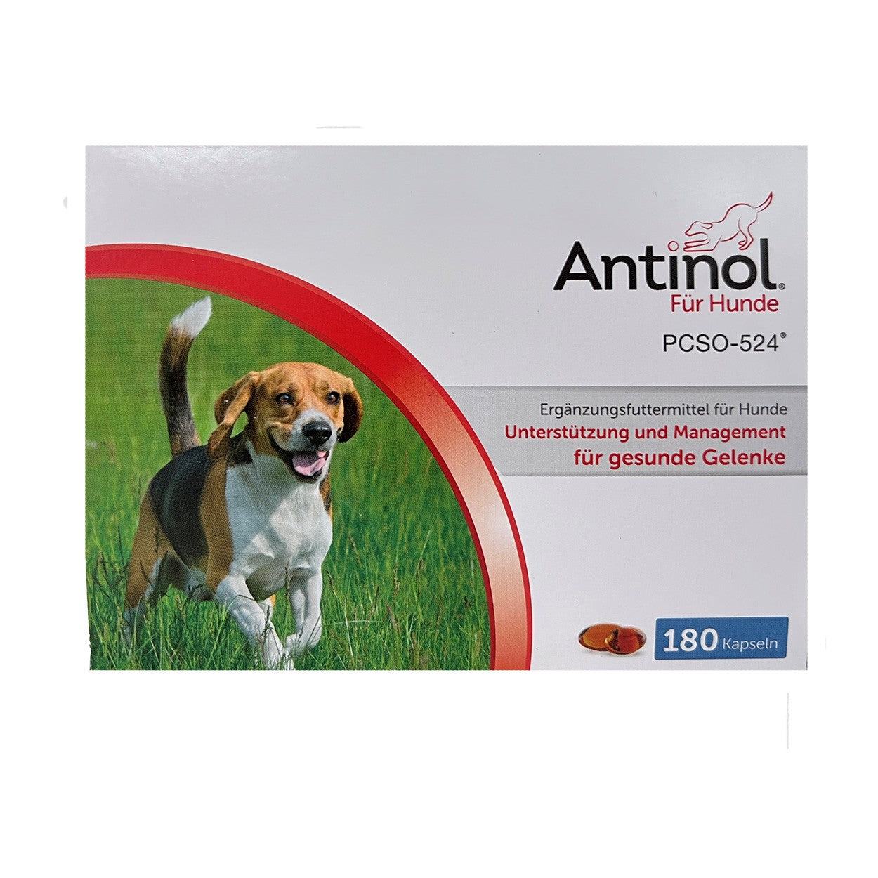 ANTINOL® für Hunde
