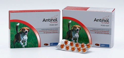 ANTINOL® für Hunde