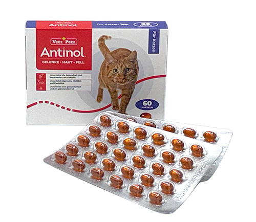 ANTINOL® für Katzen
