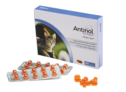 ANTINOL® für Katzen