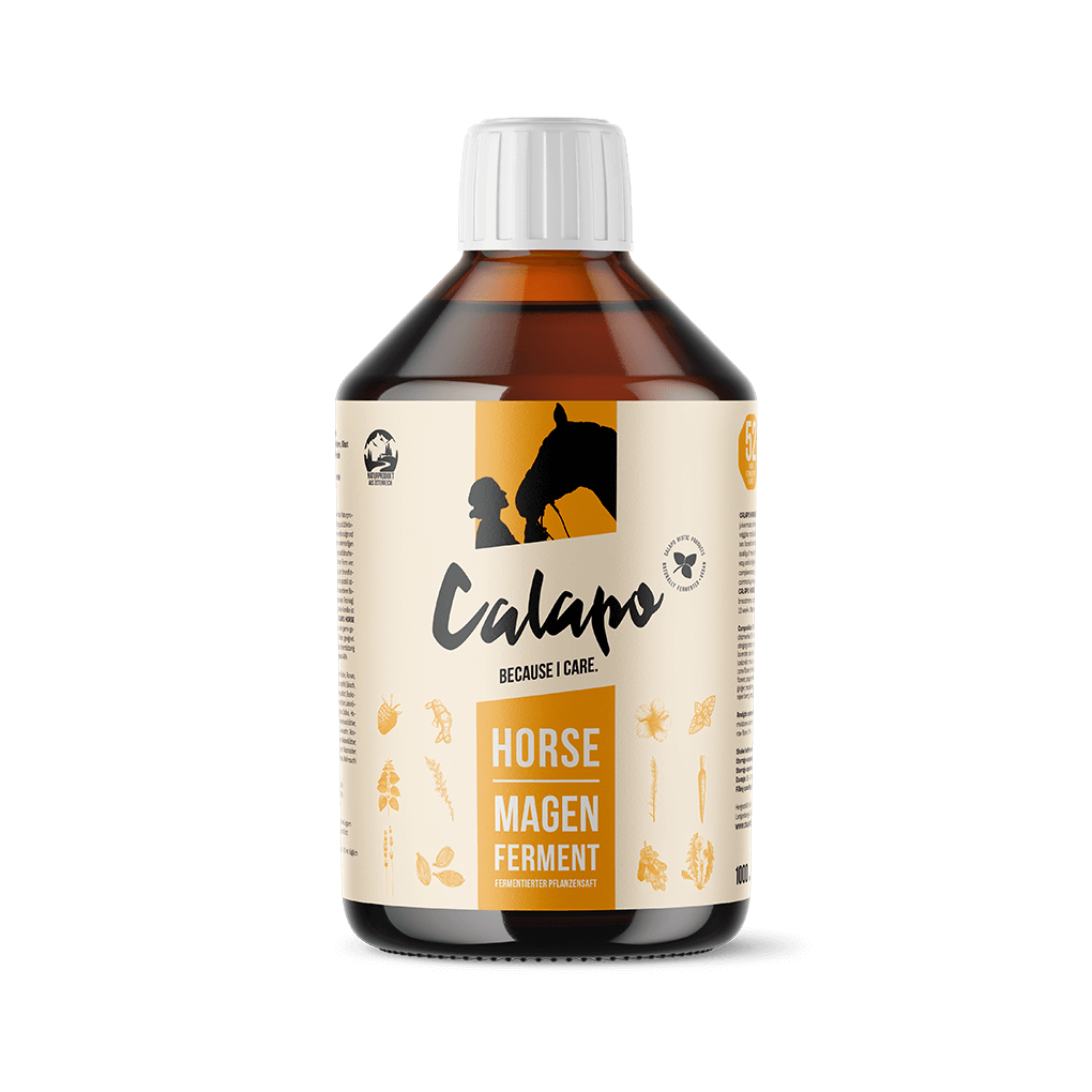 Calapo Horse Magen Ferment für Pferde