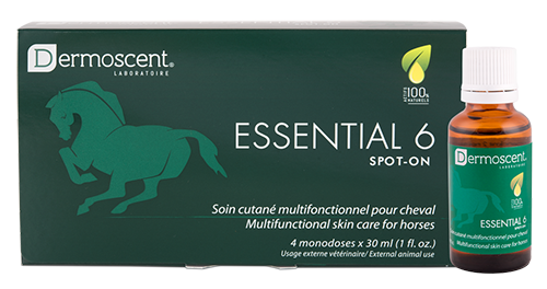 Dermoscent Essential 6® spot-on Pferd