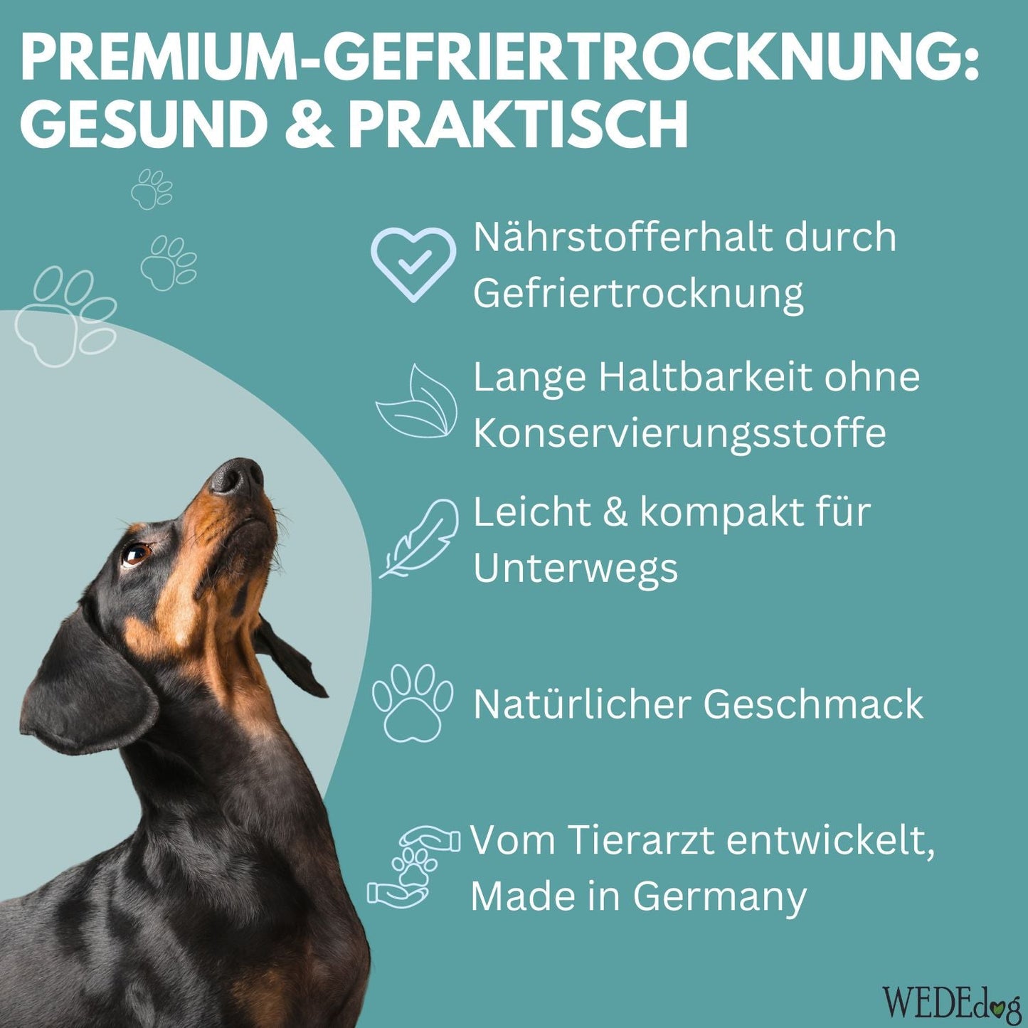 WEDEdog Pure Gefriergetrocknete Grönlandgarnelen 20g