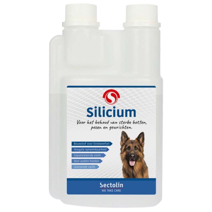 Sectolin Silicium Hund