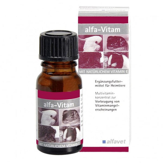 Alfavet alfa-Vitam