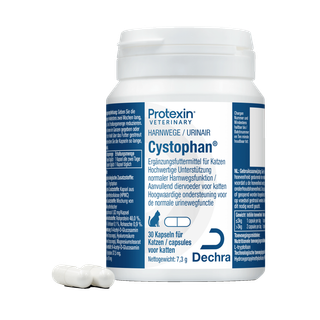 Dechra Cystophan Kapseln