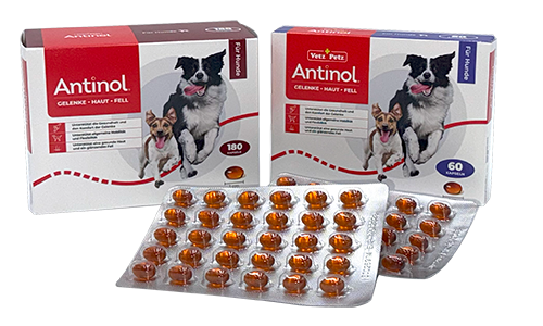 ANTINOL® für Hunde