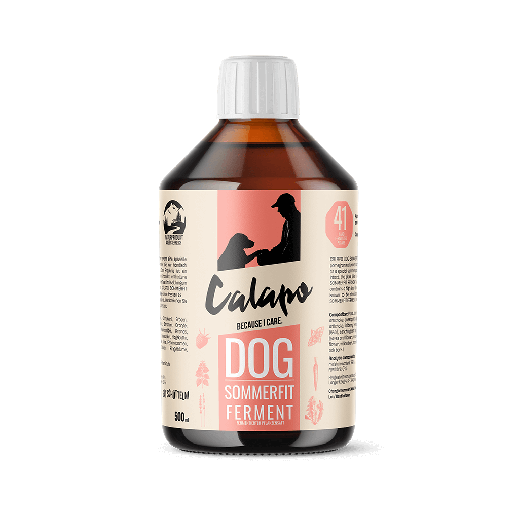 Calapo Dog Sommerfit Ferment für Hunde