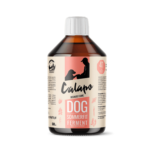 Calapo Dog Sommerfit Ferment für Hunde