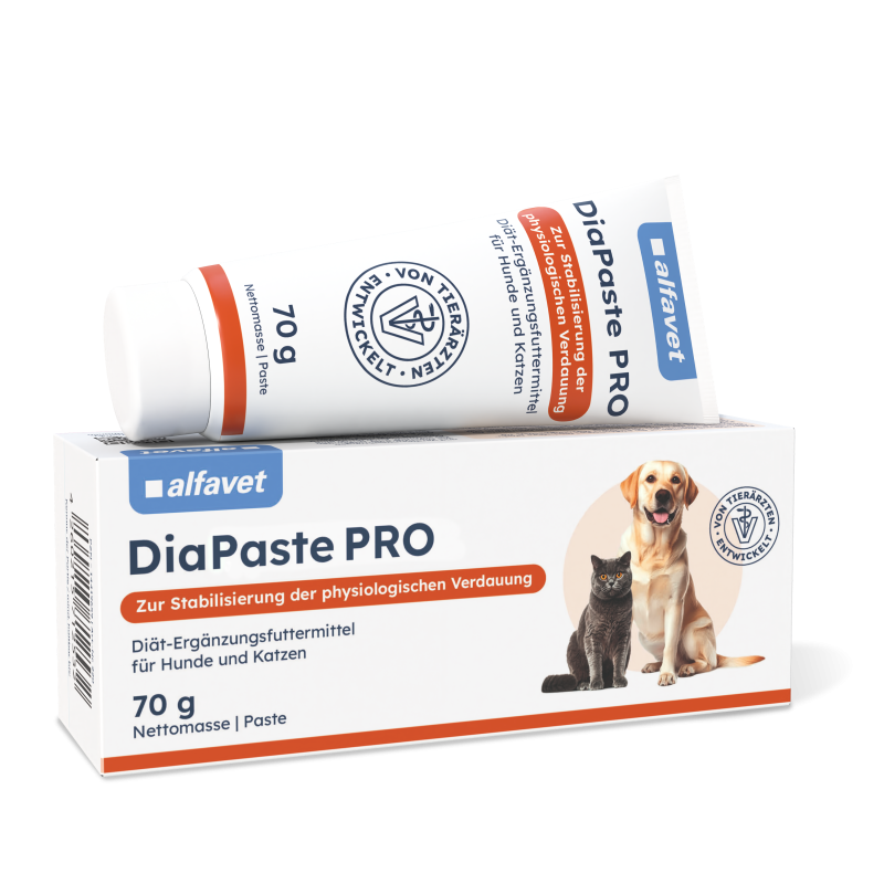 Alfavet Dia Paste Pro