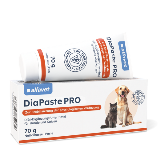 Alfavet Dia Paste Pro